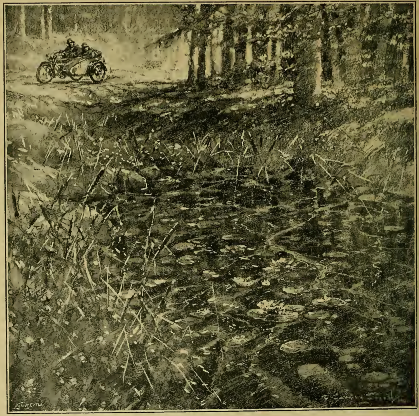 1919 FOREST SHADE PIC