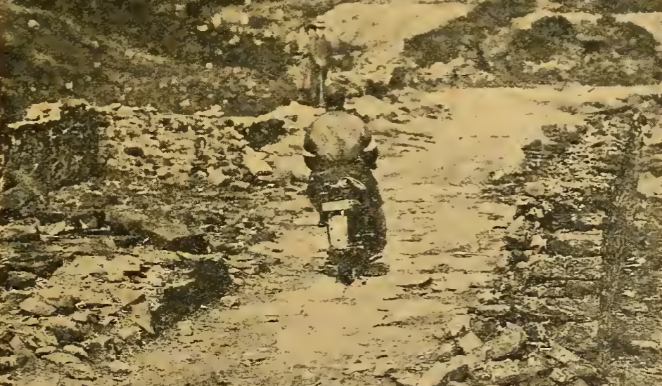 1920 SCOTT TRIAL HILL