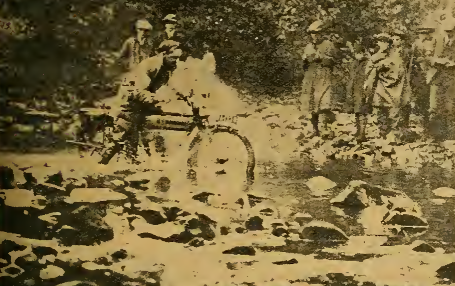 1920 SCOTT TRIAL SYKES