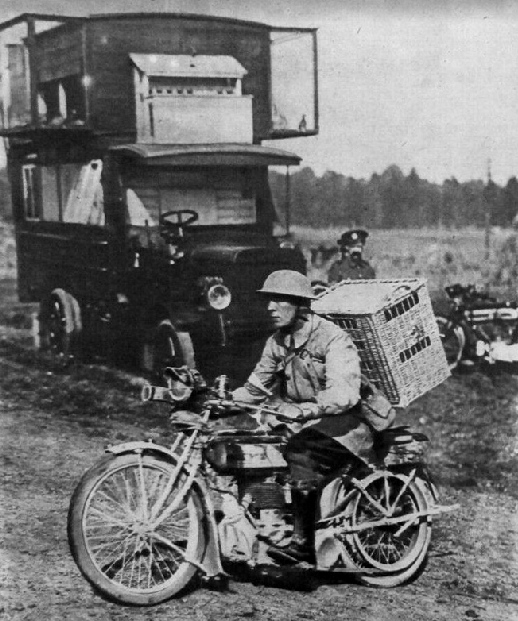 WW1 1917 PIGEONS