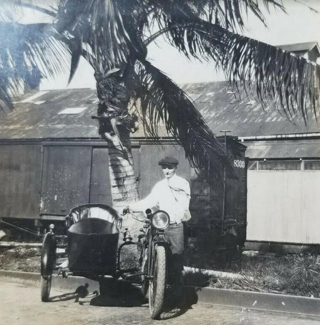1910 PALMTREE
