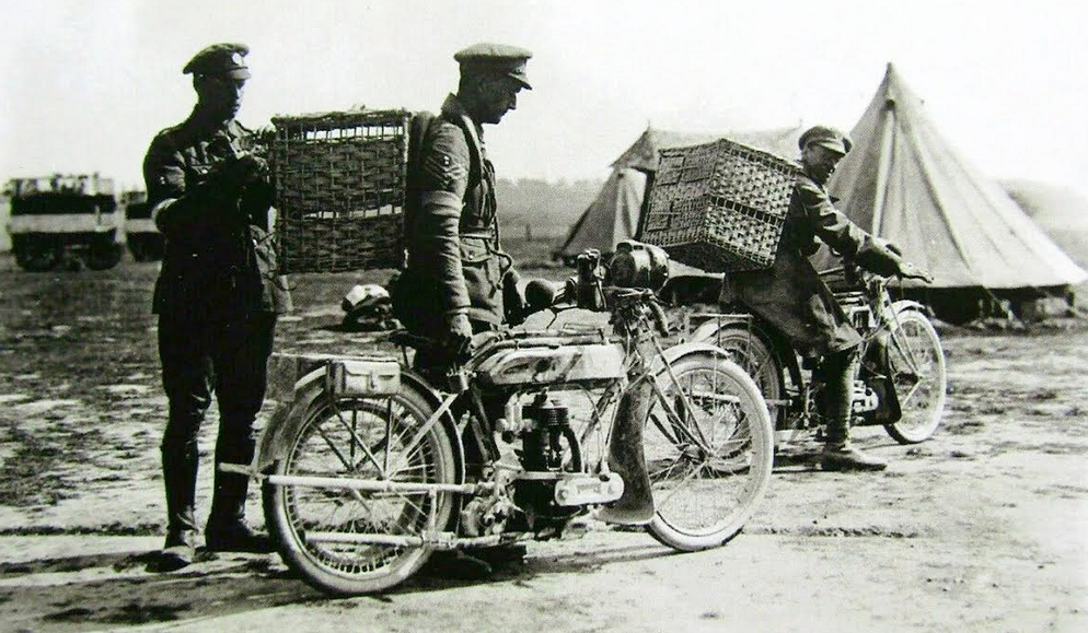 WW1 PIGEON BACKPACKS