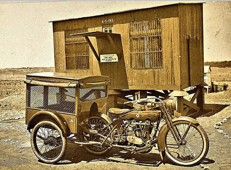 WW1 1918 PIGEON CARRIER