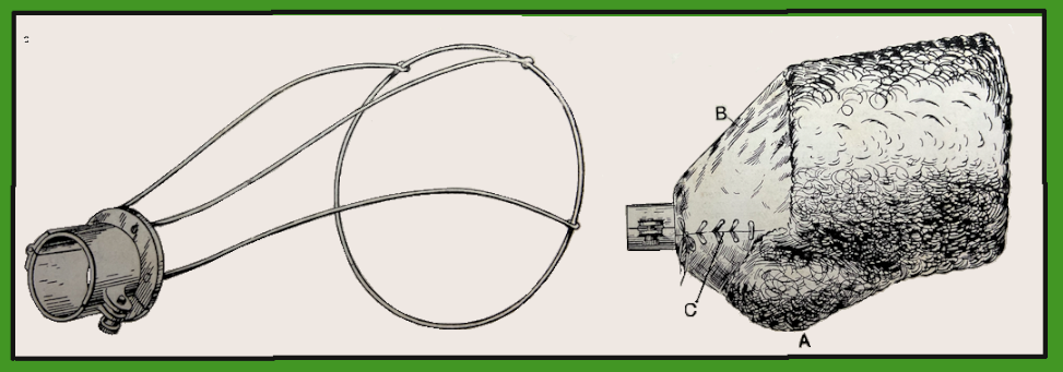 1903 MISS PERKINS MUFF