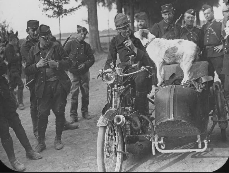 WW1 BELGIAN SR SCAR + CHIEN