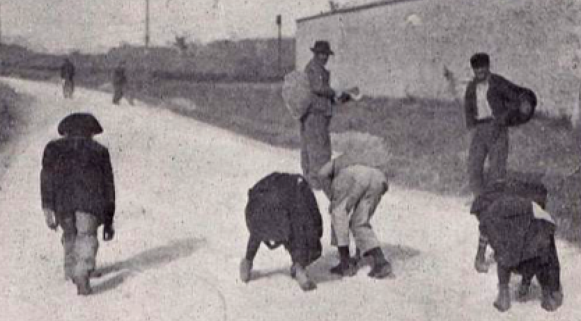 1904 INTERNATIONAL STONES