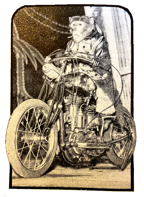 1937 MOTORCYCLING MONKEY