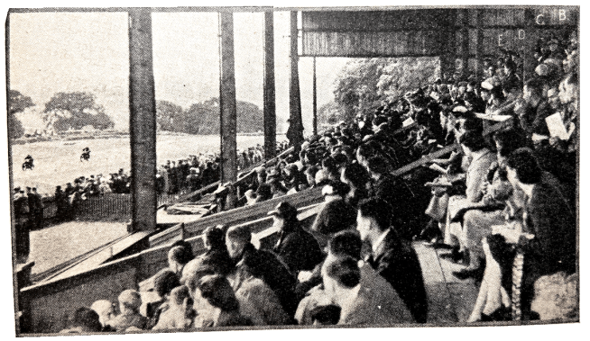 1939 NATRALLY GRANDSTAND