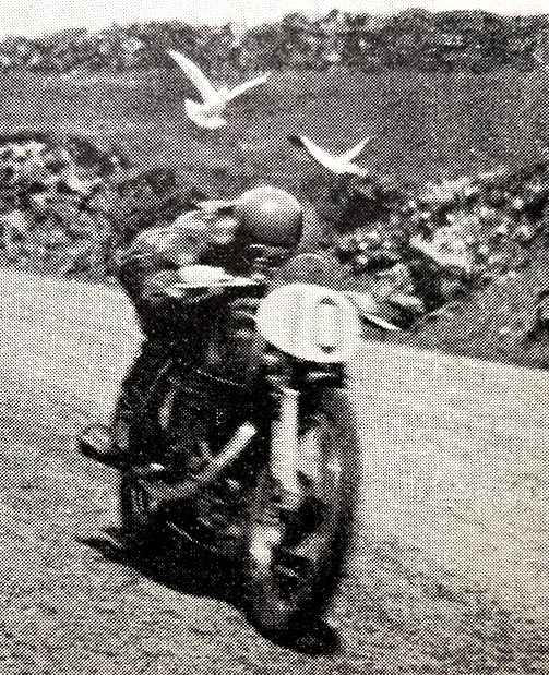 1939 TT SNR WOODS SEAGULLS