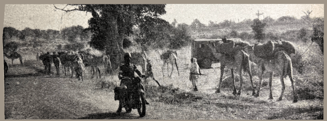"CONTAINER JOBS.—A British official picture of one of the Excelsior 'Wellbikes' being removed from its parachute container. These scooter-like machines which have been issued to parachute brigades weigh under 80lb and, like autocycles, whose 98cc Villiers engine unit they possess, have a single gear." 
